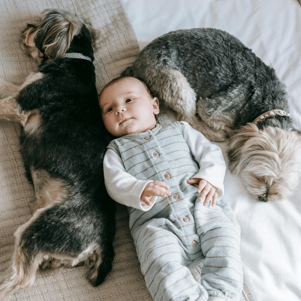 hond en baby